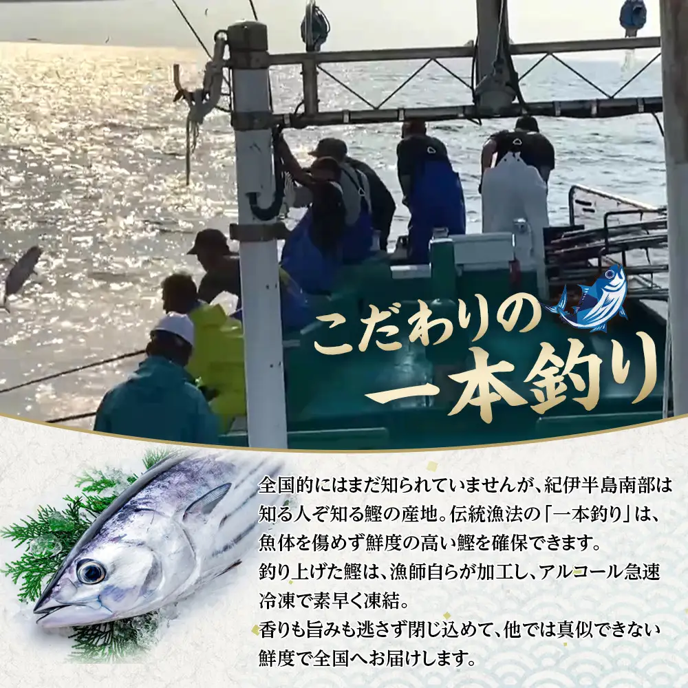 かつお 直送 生かつお 訳あり 1kg入