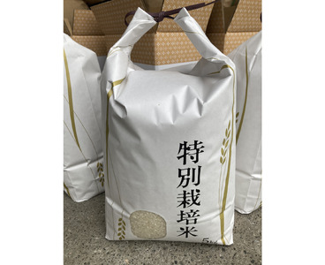 お米 令和7年産 5kg ミルキークイーン 特別栽培米  先行予約 【2025年10月以降発送】 精米 米 こめ コメ 白米 ごはん ライス 愛媛 伊予市｜C152
