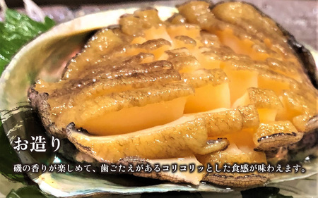 【先行予約】天然 活あわび 計600g ≪おまかせ≫【2026年7月より順次発送予定】 鮮度抜群 あわび [m17-d006_07]