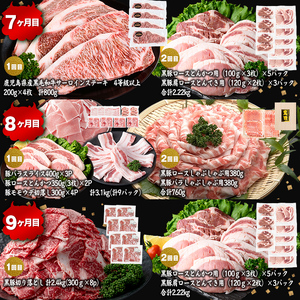 【定期便11ヶ月】ししまる定期便S(11ヶ月連続 月1～2回お届け！・計44.06kg) 黒毛和牛 黒豚 国産牛 九州産 豚 豚肉 肉 牛肉 国産 4等級 小分け 真空包装 冷凍 t0377-001