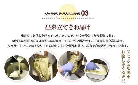 【味違いセット】ジェラテリアGigiのイタリアンジェラート 1000ml×2『生乳×チョコレート』【43014601】