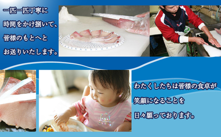 【 海鮮丼 】 鯛めし 鯛 3食 アクアプラス D010-090007