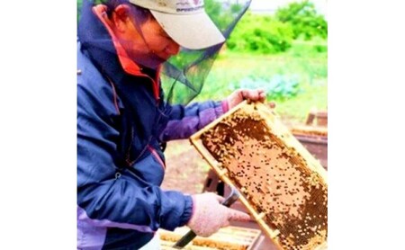はちみつ 訳あり巣蜜（約200g前後） 天然 国産 天然はちみつ 天然蜂蜜 天然ハチミツ 国産はちみつ 国産蜂蜜 国産ハチミツ 巣みつ 蜂蜜 ハチミツ 純蜂蜜 純ハチミツ フルーティー ハニー 限定 福岡 福岡県 小郡市