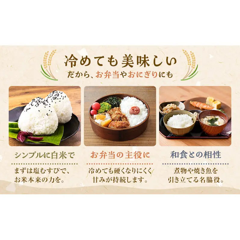 〈先行予約/11月発送開始〉秋田県 羽後産 あきたこまち 5kg 農家直送 [令和8年産] 横井農園【 米 お米 ご飯 あきたこまち ブランド米 銘柄米 農家直送 特産品 秋田 羽後 】