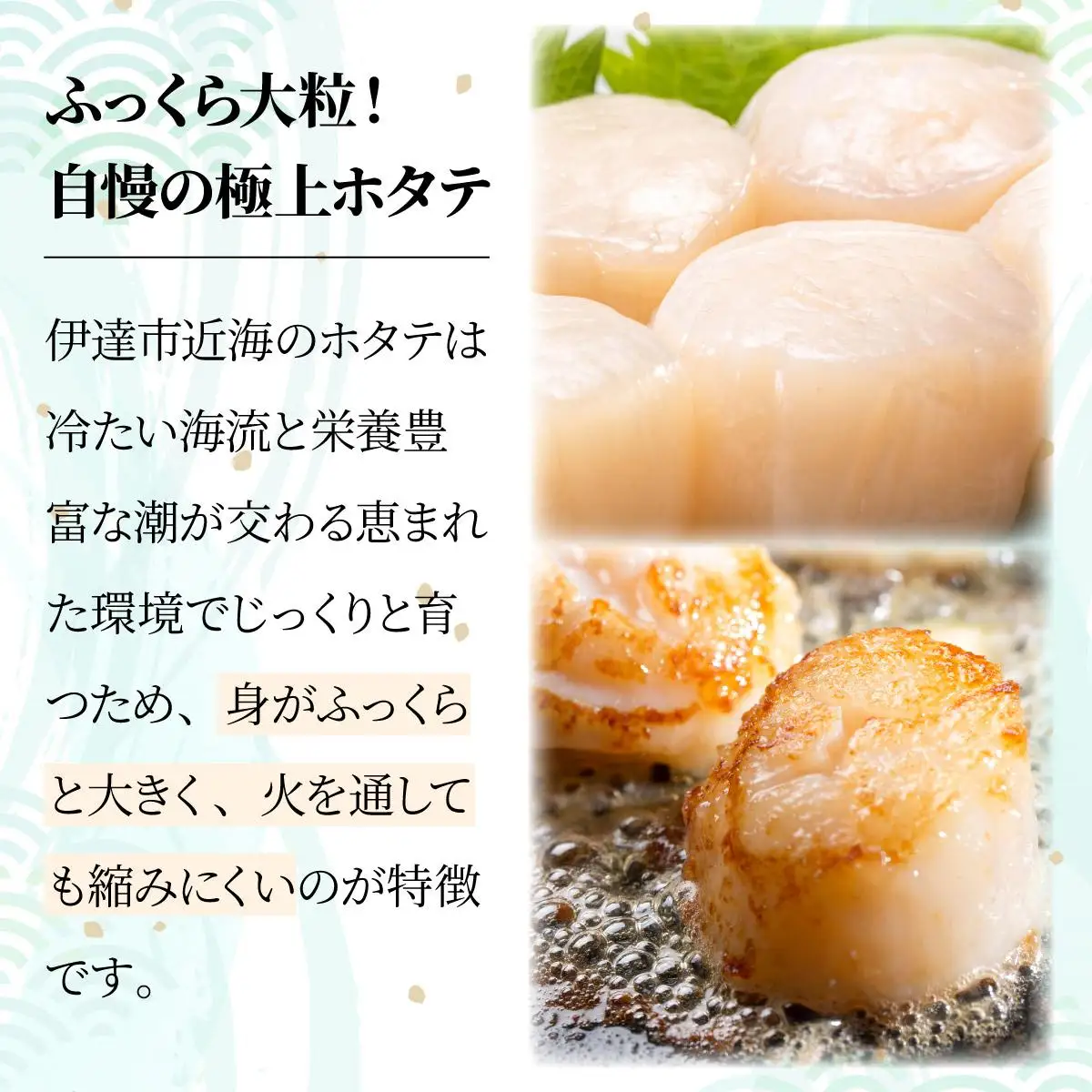 ほたての玉冷 500g（SSサイズ～Lサイズバラエティーセット）