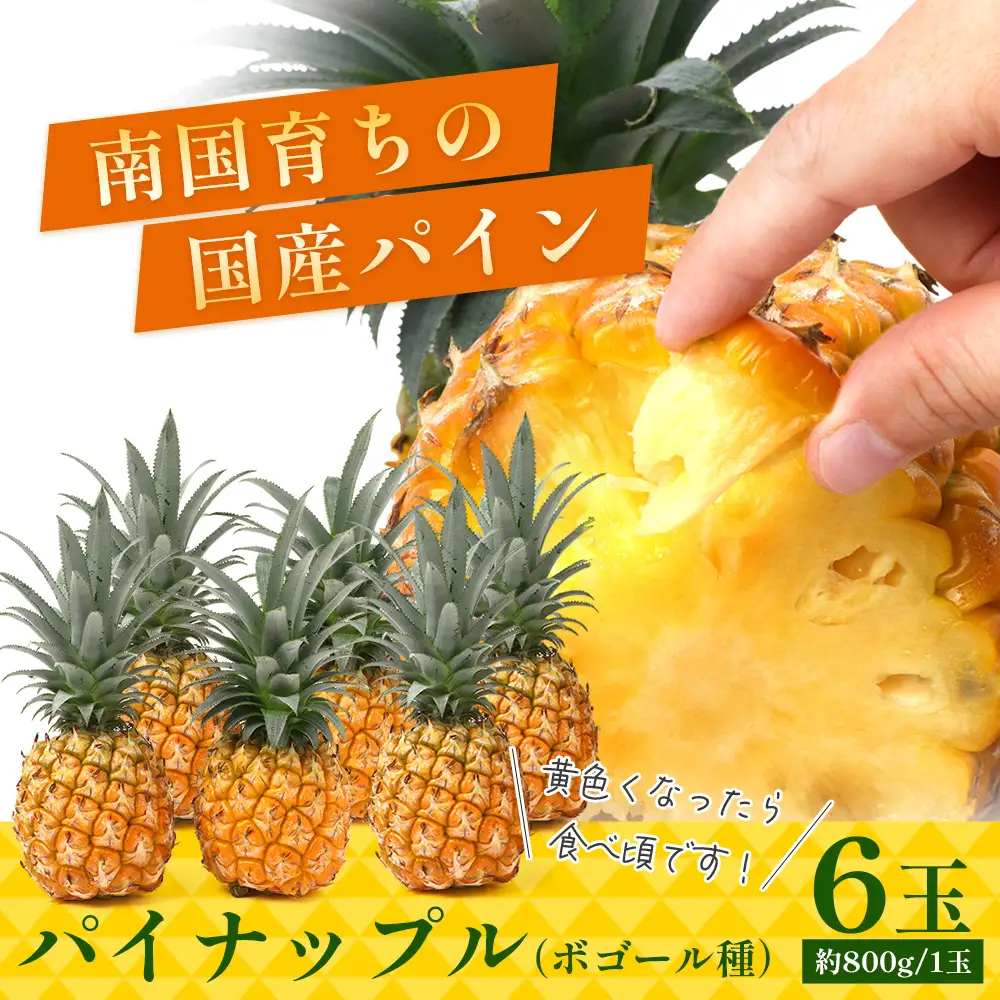 【先行受付】パイナップル/ボゴール種 (約800g×6玉) ≪2026年7月下旬以降順次発送≫ DS-1 ｜パイン パイナップル パインアップル フルーツ ボゴールパイン スナックパイン 産地直送 送料無料 鹿児島県 南大隅町 株式会社デラセーラ