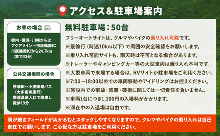 キャンプ場 利用券 3000円分 合同会社Camp for Life《30日以内に出荷予定(土日祝除く)》千葉県 勝浦市 キャンプ REWILD GREEN FIELD CAMP ファミリー グループ キャンプ チケット 施設利用券
