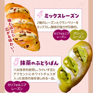 ぶどうぱん食べ比べセット（5本） _ ぶどうぱん 専門店 ぶどぱん 食べ比べ 5本 ぶどぱんのぶどうぱん サンマスカット 全粒粉のくるみとレーズン ミックスレーズン 抹茶 レーズン しっとり もっちり 食パン生地 トースト 冷凍保存 お取り寄せ 福岡県 久留米市 送料無料  〔Cx242-05〕