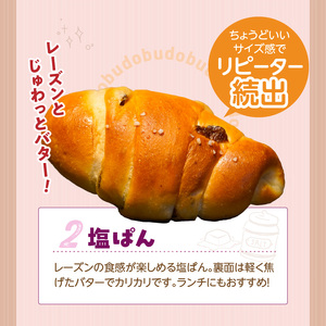 ぶどうぱんマシマシと塩ぱん　堪能セット _ ぶどうぱん 専門店 ぶどぱん 堪能 セット ぶどうぱん 1個 370g前後 塩ぱん × 2個 1個あたり70g前後 レーズン マシマシ しっとり もっちり 食パン生地 トースト 冷凍保存 朝食 昼食 ランチ お取り寄せ 福岡県 久留米市 送料無料  〔Cx243〕