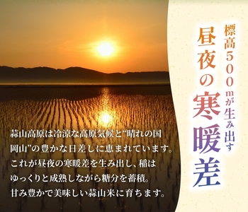 【令和7年産】 蒜山米（ひるぜんまい） 玄米 10kg あきたこまち 【agurih002-03】