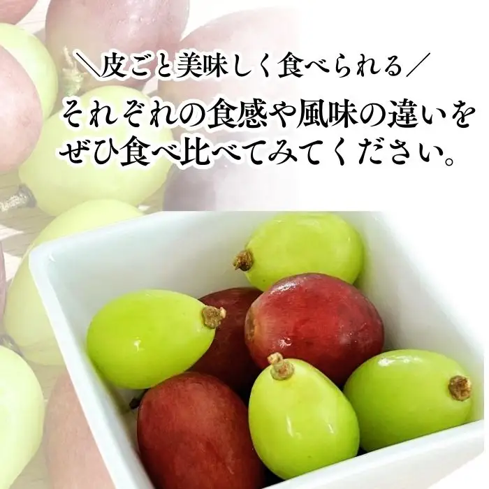 【2026年先行予約】シャインマスカット ＆ クイーンルージュ® 詰め合わせ セット  計約1kg（2~3房）※最低900g以上｜ ぶどう ぶどう