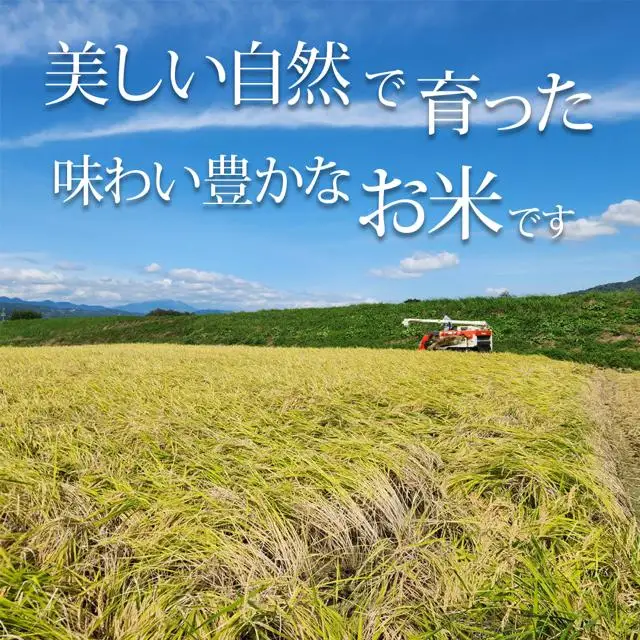 【2026年先行予約】棚田米 こしひかり 白米 5kg 令和8年産| コシヒカリ