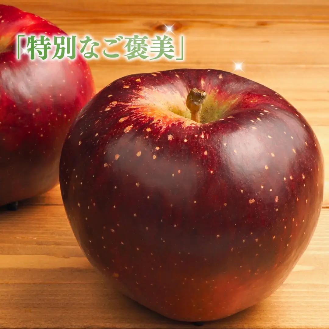 【2026年先行予約】りんご 秋映 約3kg| りんご