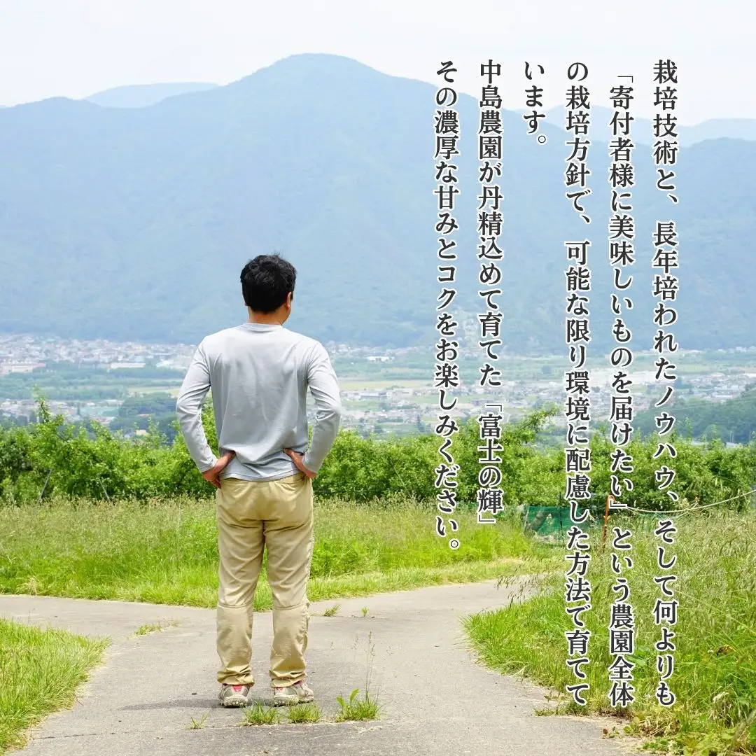 【2026年先行予約】ぶどう 富士の輝 約1~1.5kg（2房）｜ ぶどう
