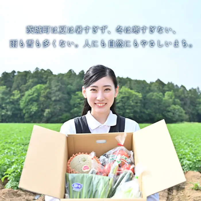 658 茨城町 夏の野菜セット とうもろこし じゃがいも エシャロット 小松菜 アスパラガス