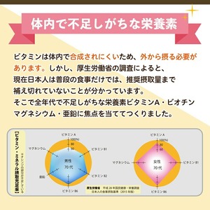 No.1279-A ＜定期便・全3回(隔月)＞マルチビタミン(2袋×3回・計6袋) 鹿児島 日置市 健康食品 サプリ 栄養バランス 食生活 安心安全 野菜不足 好き嫌い 豊富な栄養素 マルチビタミン ミネラル 亜鉛 マグネシウム 【てまひま堂】