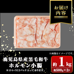 【A01039】鹿児島県産黒毛和牛 ホルモン 小腸 (計約1kg・約500g×2P) 鹿児島 国産 九州産 黒毛和牛 牛肉 ホルモン 牛ホルモン 生ホルモン モツ 小腸 真空パック 個包装 小分け 冷凍 焼肉 もつ鍋 煮込み【新村畜産】