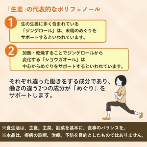 No.1295 ほっこりしょうが(1袋 31粒入り)  鹿児島 日置市 健康食品 加工食品 サプリ サプリメント 栄養バランス 食生活 安心安全 定期便 頒布会 【てまひま堂】