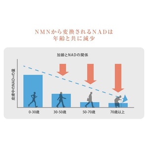 0090-105-01 NMN サプリメント 20000mg 日本製 国内製造 GABA ボタンボウフウ 5-ALA 核酸 ビタミンE ビタミンC クエン酸 鉄 Na 葉酸 daina NMN+ 90粒 30日 3本