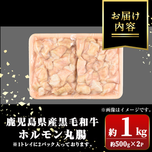 【A01037】鹿児島県産黒毛和牛 ホルモン 丸腸 (計約1kg・約500g×2P) 鹿児島 国産 九州産 黒毛和牛 牛肉 ホルモン 牛ホルモン 生ホルモン モツ 丸腸 マルチョウ 真空パック 個包装 小分け 冷凍 焼肉 もつ鍋 煮込み【新村畜産】
