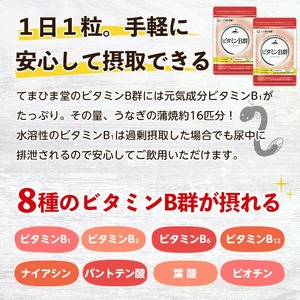 No.1300-A ＜定期便・全3回(隔月)＞ビタミンB群(2袋×3回・計6袋) 鹿児島 日置市 健康食品 サプリ 栄養バランス 食生活 安心安全 ビタミン 定期便 頒布会 【てまひま堂】