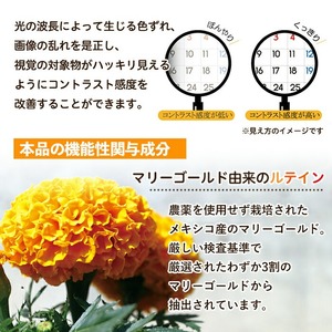 No.1283 ＜機能性表示食品＞ルテイン(1袋 62粒入り・2袋×6回)  鹿児島 日置市 健康食品 加工食品 サプリ サプリメント 栄養バランス 食生活 安心安全 目 ブルーライト 保護 頒布会 配送回数  【てまひま堂】