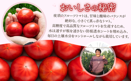【2027年出荷分】夜須のフルーツトマト 8kg 【旅サラダに取り上げられました！】 先行予約受付 期間限定 季節限定 野菜 やさい フルティカ 完熟 小ぶり 小さめ 糖度 熨斗 のし対応可 贈り物 おやつ サラダ フレッシュ 新鮮 送料無料 産地直送 高知県 香南市 yu-0075