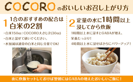 巨大胚芽米COCORO 玄米 約10kg【配送不可地域あり】 (離島) ドリームクリエイト早瀬農産 早瀬亨《2026年10月中旬-11月中旬頃出荷》 岡山県 浅口市 岡山県産 米 コメ こめ 玄米 送料無料