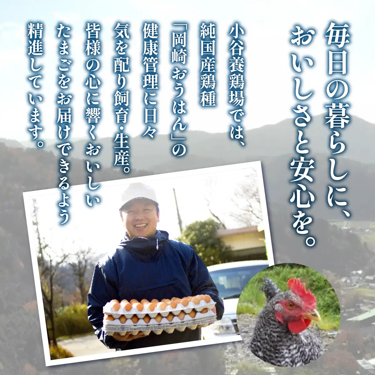 「さぁ!ご飯にのせ玉子」モノクロ鶏の極上個性たまご50個 | 能勢おうはんのたまご | 小谷養鶏場 | 純国産鶏 純国産玉子 岡崎おうはん 濃厚 新鮮 生食 卵かけご飯 お取り寄せ | 大阪府 能勢町 送料無料