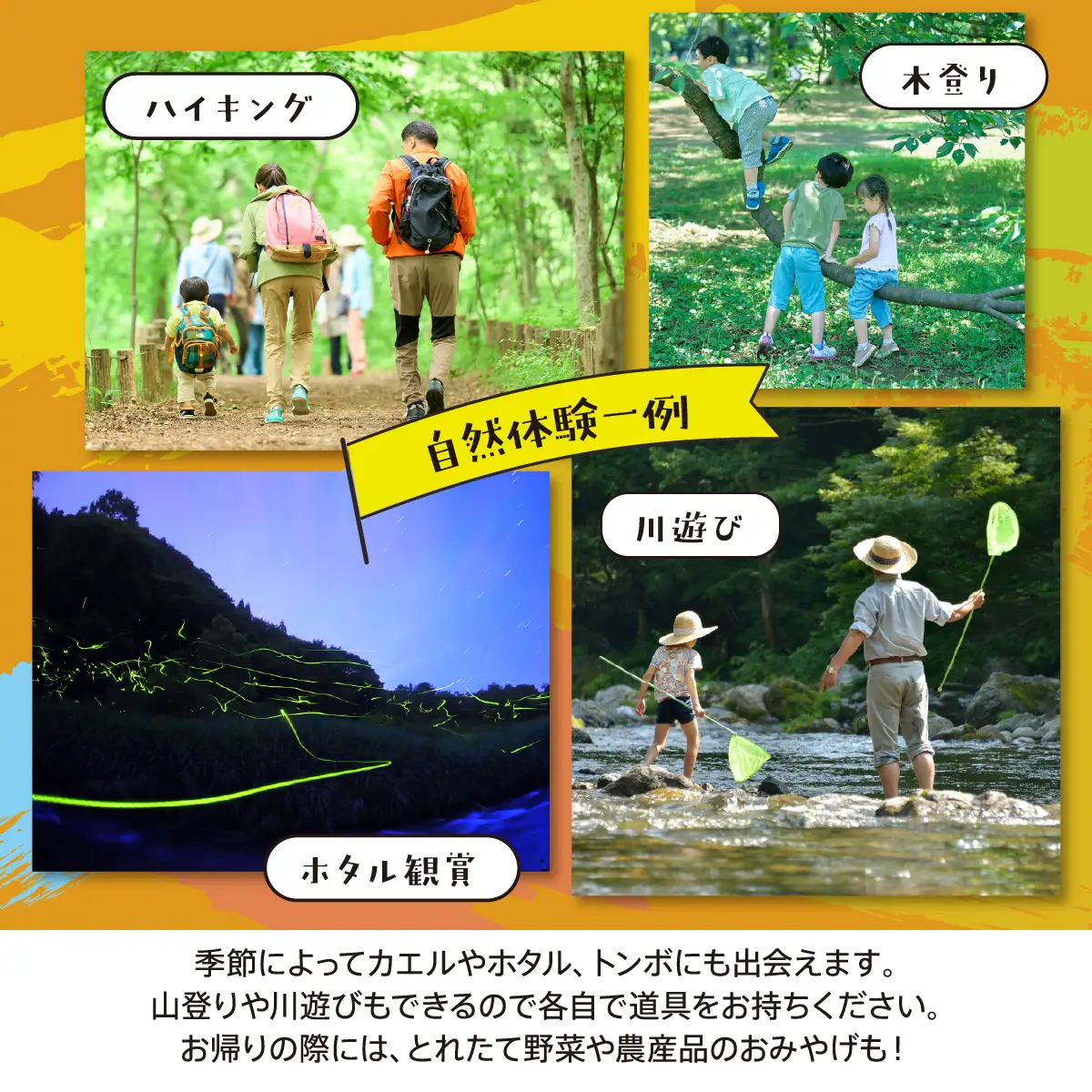 【ふるさと納税】特別な田舎体験を、標高500mの集落で！(1回分/約2時間/4名様まで) | 天王恵み会 |  農業体験 田舎体験 体験 チケット 自然体験 旅行 特別な時間 ハイキング 川遊び ホタル観賞 標高500m 日帰り アクティビティ アウトドア |  大阪府 能勢町 送料無料