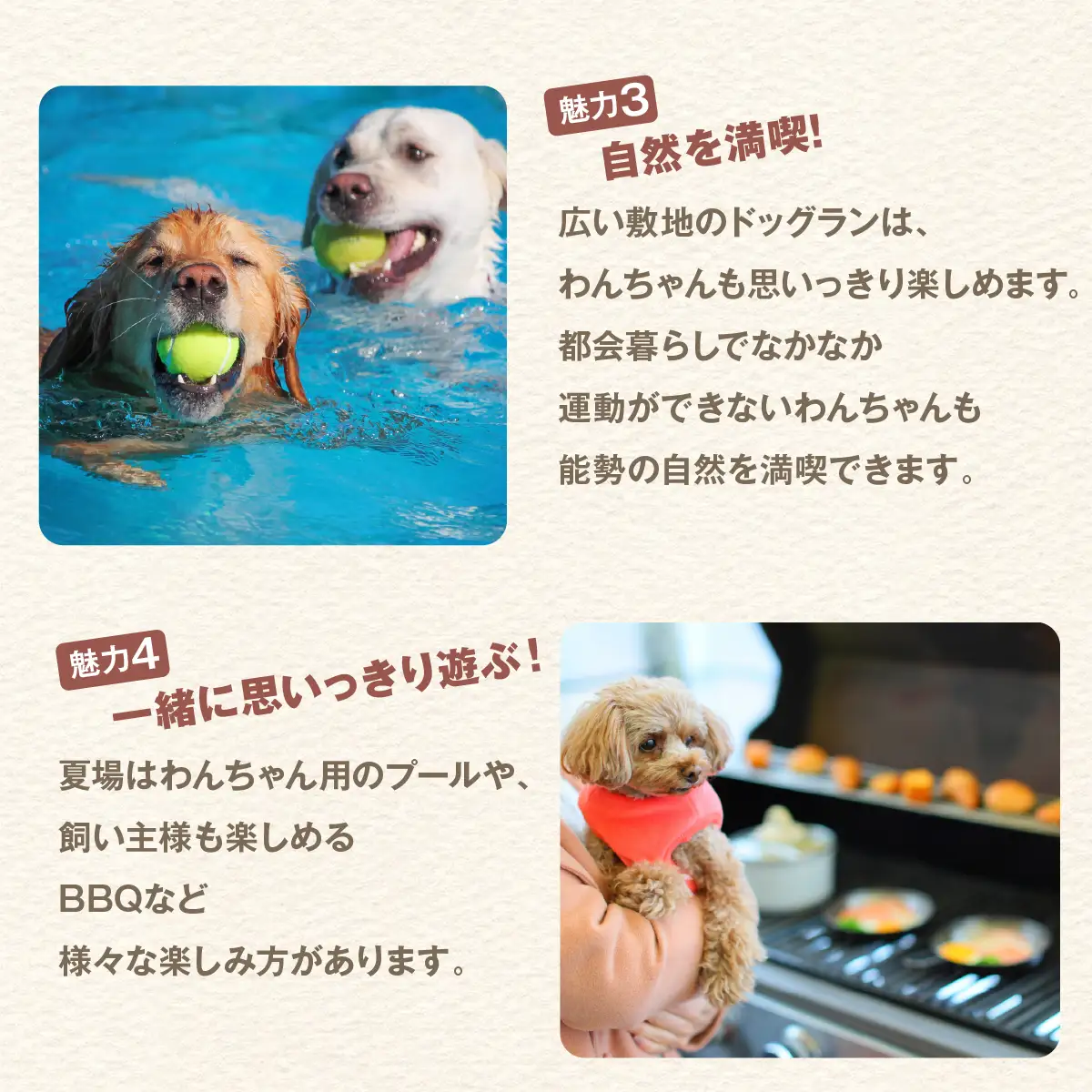 【完全予約制】自然を活かした全面プライベートドッグラン・ドッグガーデン 利用補助券 6,000円分 (500円 × 12回) | Bless Dog Oasis | ドッグラン ドッグガーデン わんちゃん 犬 ペット チケット 券 貸切 プライベート 広い 体験 レジャー 自然 運動 アウトドア【1273638】