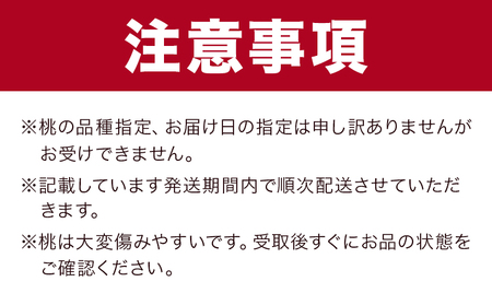 岡山白桃 5玉 ロイヤル【配送不可地域あり】　桃