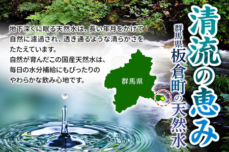 水 《定期便8ヶ月》国産 ミネラルウォーター ピュアの森 500ml 24本×1箱 天然水 軟水 ペットボトル ラベルあり