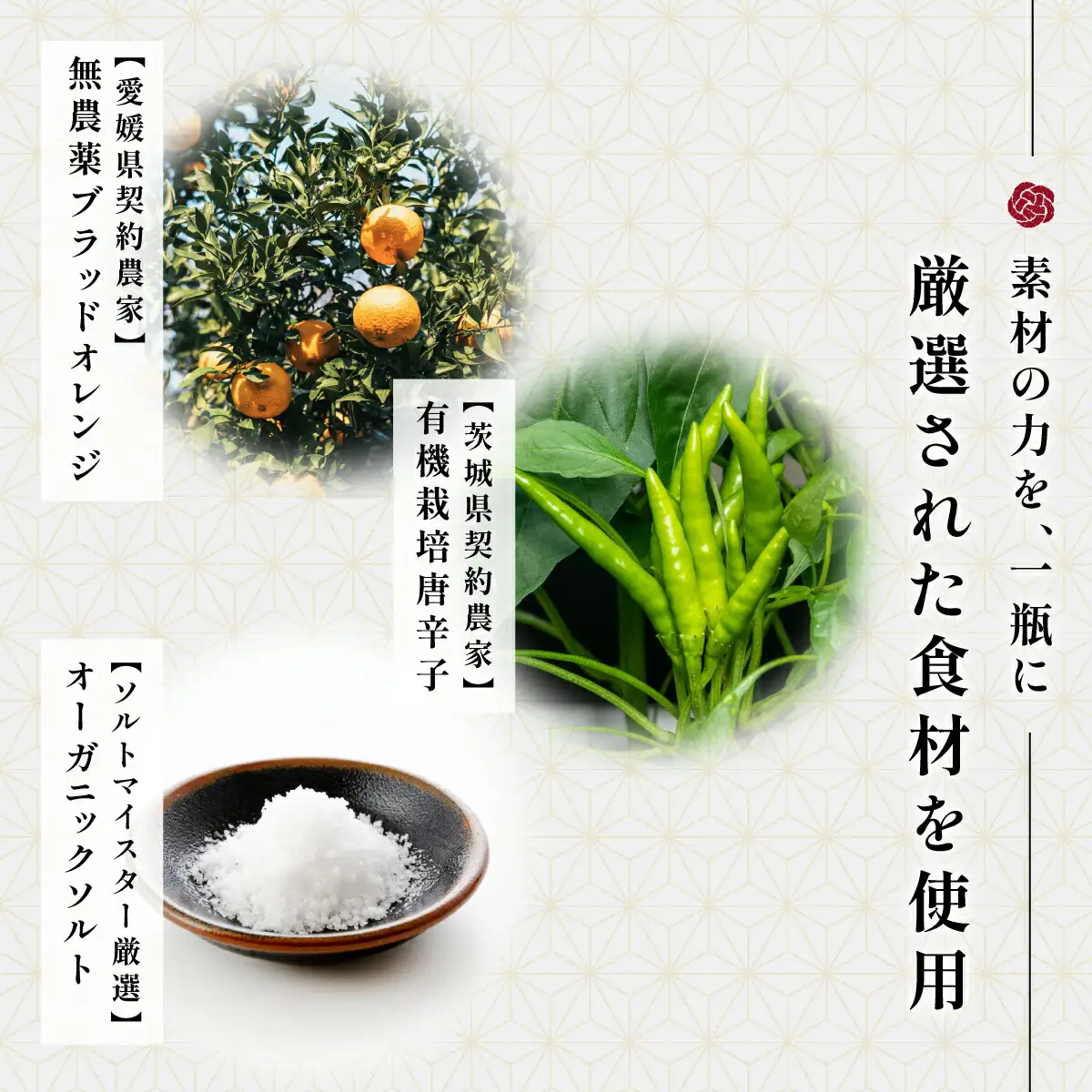 【京遊膳 花みやこ】ブラッドオレンジ胡椒　3個入【配送不可地域：離島】【1663094】