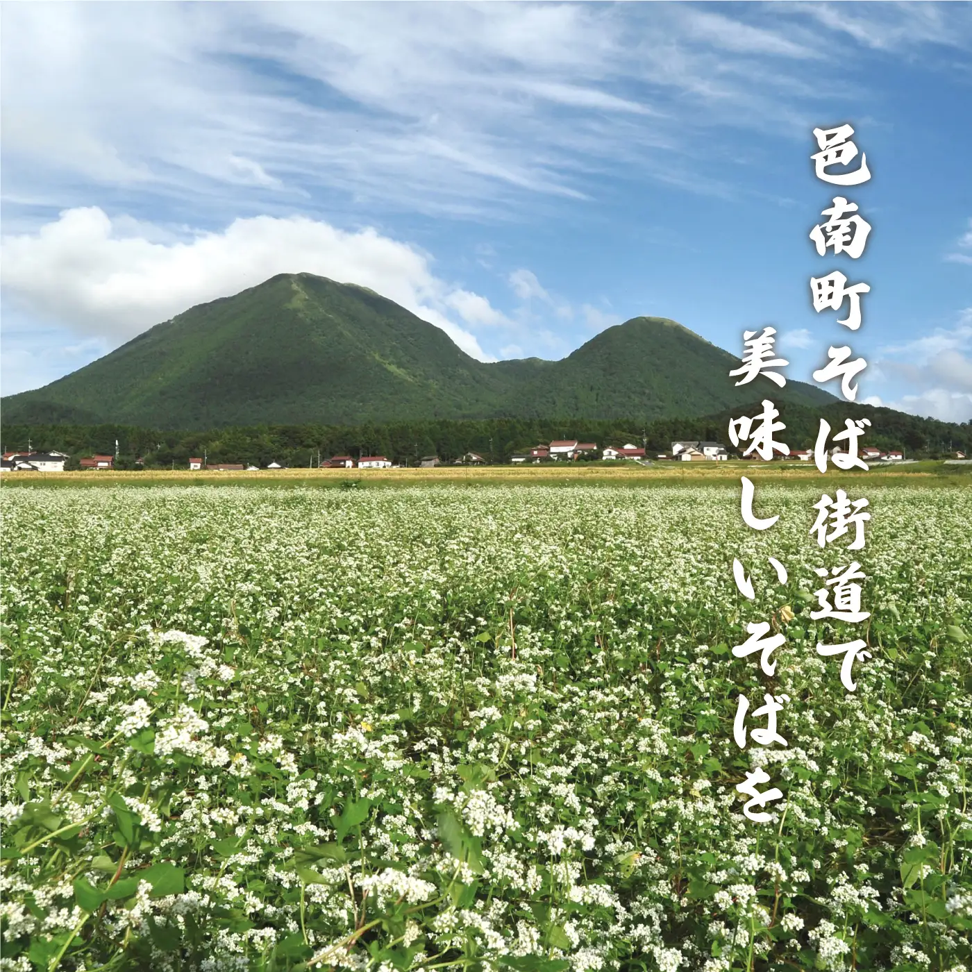邑南十割そば 乾麵 ４人前 つゆ付き
