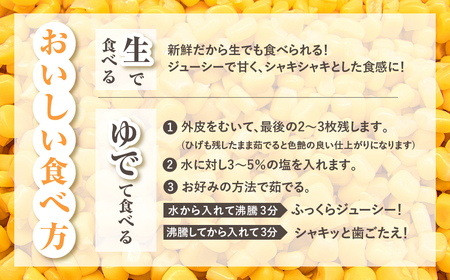 【先行予約】氷締めとうもろこし バイカラー 20本～24本 寺田さんちのとうもろこし
