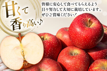 【26年10月下旬～発送】りんご 千雪 約3kg カワムラファーム【家庭用】青森 果物 フルーツ 林檎 リンゴ くだもの
