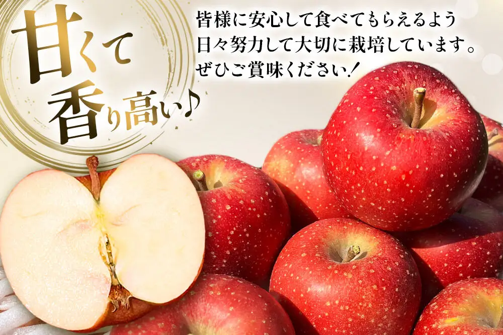 【26年10月下旬～発送】りんご 千雪 約6kg カワムラファーム【家庭用】青森 果物 フルーツ 林檎 リンゴ くだもの