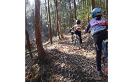 レンタルサイクル 2名様1日利用サービス券 体験チケット HNNC005