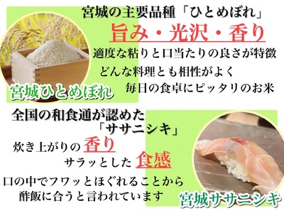 【ふるさと納税】宮城県産三大銘柄いいとこ取りブレンド米 わくわく米 5kg×2袋入 計10kg◆｜ お米 精米 白米 ひとめぼれ ササニシキ つや姫 宮城県産 三大銘柄【araseki003】