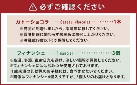 まるで生チョコ！？ 私のガトーショコラとフィにゃンシェ 詰め合わせ ガトーショコラ チョコ チョコケーキ フィナンシェ ケーキ スイーツ セット 詰め合わせ  小麦粉不使用 グルテンフリー 冷蔵 熊本県 上天草市