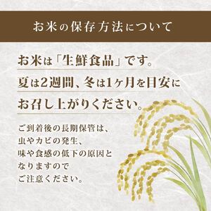コシヒカリ 5kg 定期便 6ヶ月 令和8年産 新米 白米 コシヒカリ 滋賀県