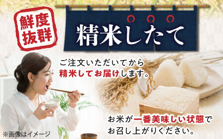 【特別栽培米】コシヒカリ 10kg[AQCQ013] 米 白米