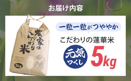 米 5kg 元気つくし 数量限定 こだわりの蓮華米 農家直送 白米 国産 おにぎり お弁当 福岡 九州 グルメ お取り寄せ
