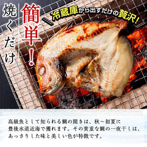 ギフト用品質！九州産 ひもの 鯛開き(1尾×5パック) 個包装 干物 鯛 開き 魚 海鮮 冷凍 ひもの 小分け 惣菜 おかず セット ギフト 贈り物 大分県 佐伯市【DH300】【ネクサ】
