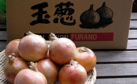 【2026年秋冬発送】北海道富良野産 たまねぎ 約10kg (S～Lサイズ混合) 野菜 玉ねぎ