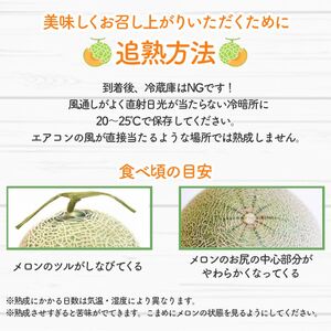 【2026年夏発送】※訳あり 富良野産 メロン 2Lサイズ 約1.6kg【1玉】フルーツ 果物