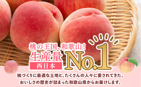先行受付!　桃の王様【白鳳】　特秀品　約2kg　6～9個入 | 桃