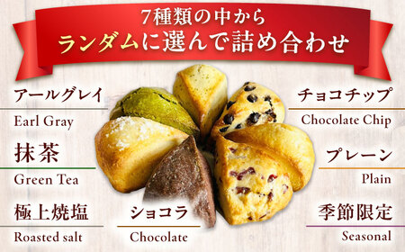 【卵不使用！】生スコーン おまかせ10個セット[QBZ001]