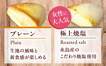 【全6回定期便】【卵不使用！】生スコーン プレーン・極上焼塩 2種10個セット[QBZ007]